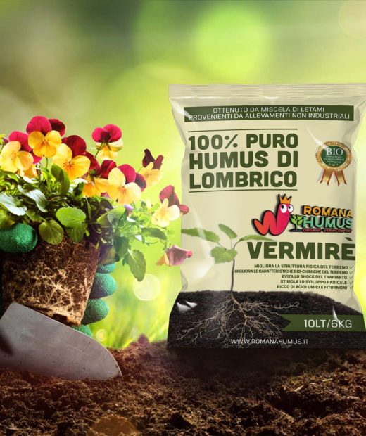 cover romana humus
